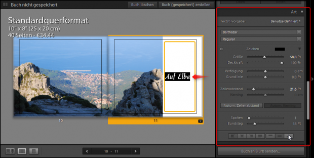 Neben Bildern kann auch Text ins Buch integriert werden. Dazu stehen umfangreiche Formatierungsmöglichkeiten zur Verfügung. (Adobe/Screenshot: Petra Vogt)